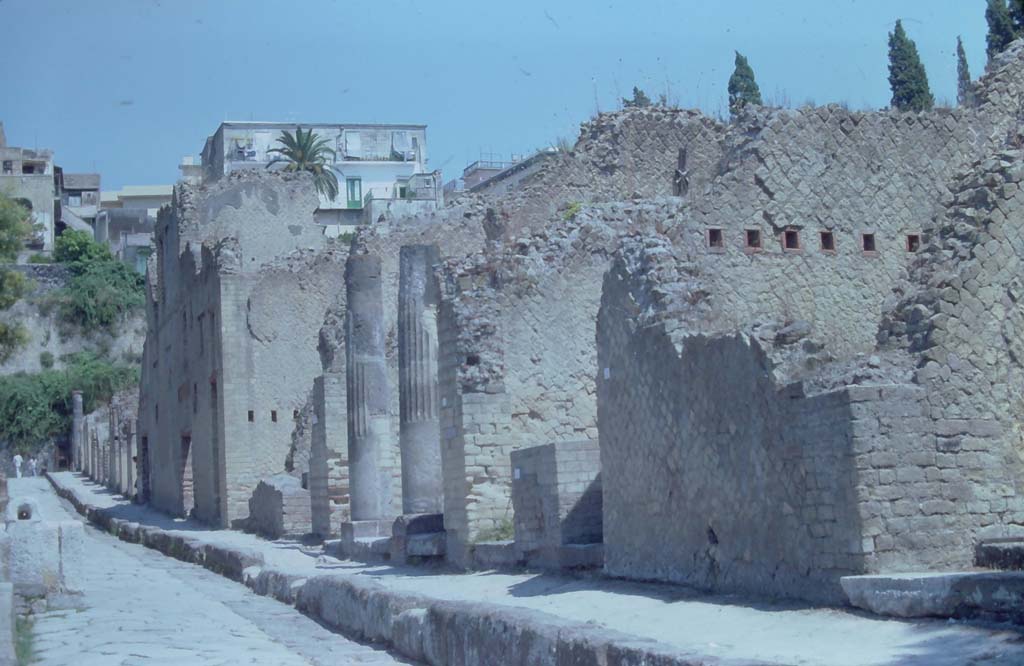 Cardo V, Herculaneum. 7th August 1976.
Looking north towards Ins. Or. II.4 with two large columns, on east side of roadway, from near Ins. Or. II.1, on right.
Photo courtesy of Rick Bauer, from Dr George Fay’s slides collection.